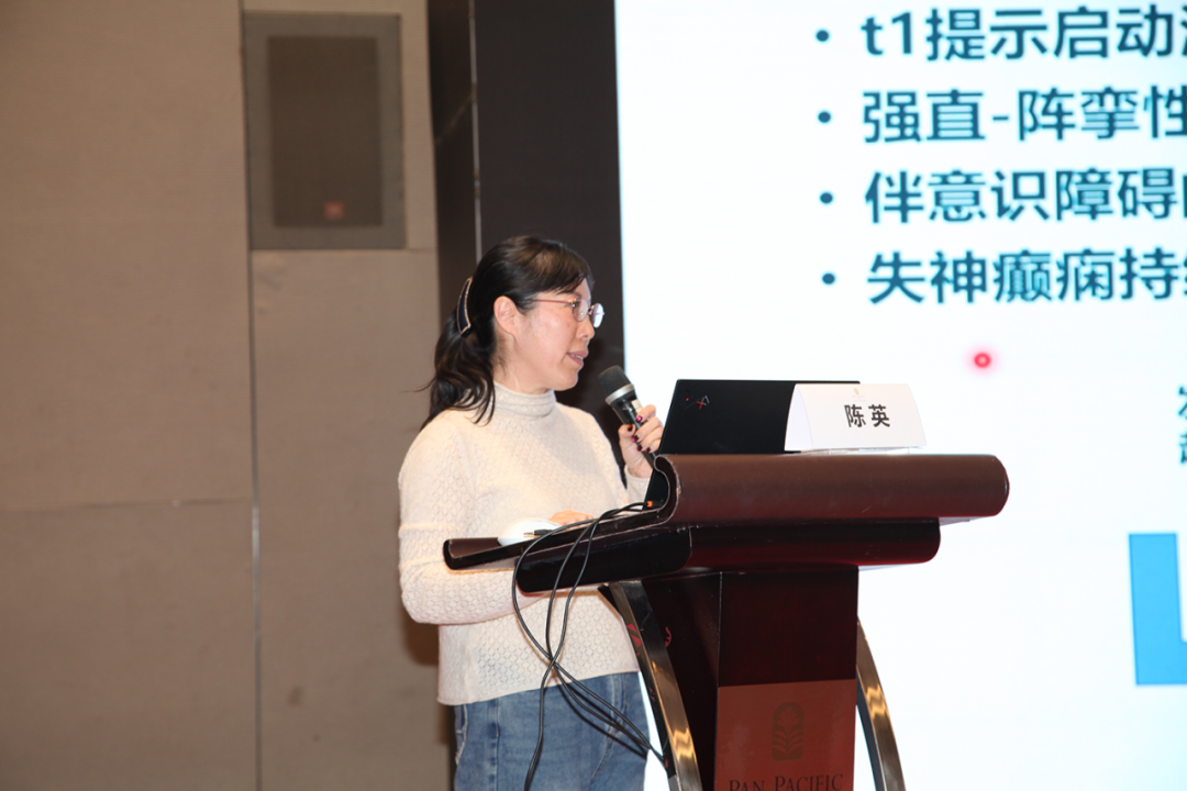 陈英教授作主题演讲